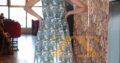 فستان شيفون من Gaudi