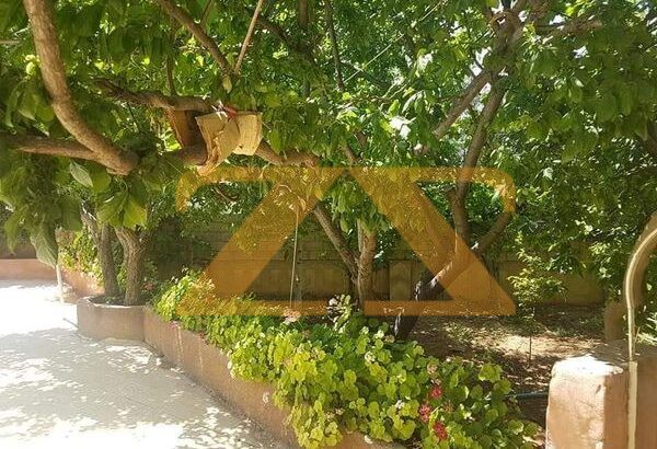 للايجار فيلا في بلودان يومي اسبوعي شهري