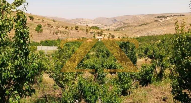 للبيع قطعة ارض في ريف دمشق – الزبداني