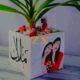 صباريات زينة