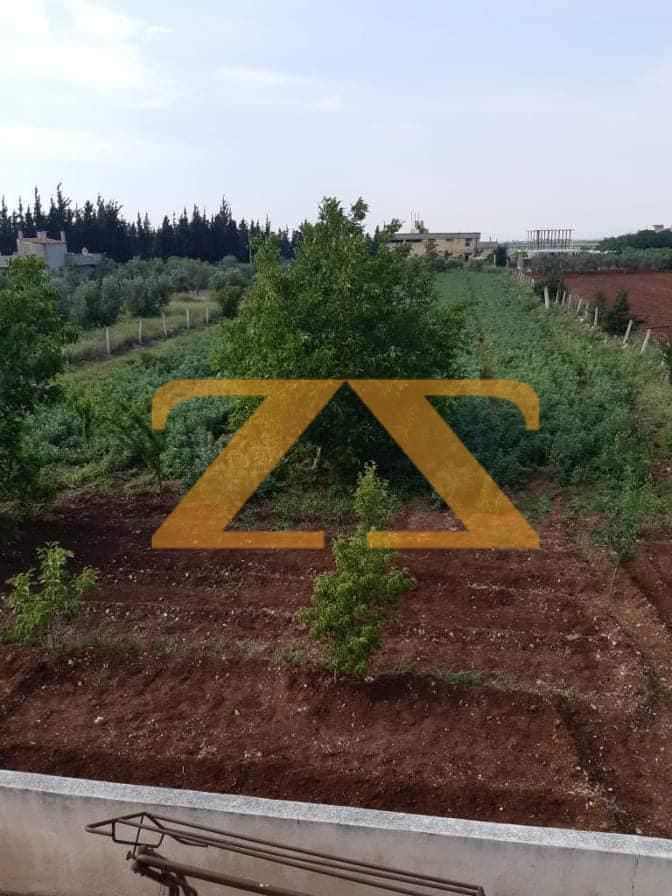 مزرعة للبيع حمص قرية النجمة