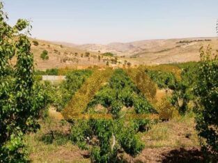 للبيع قطعة ارض في ريف دمشق – الزبداني