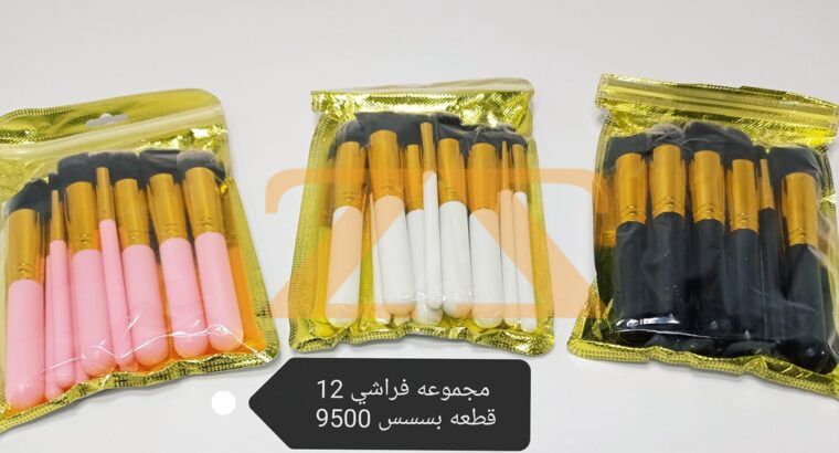 مجموعة فراشي دمج عدد 12