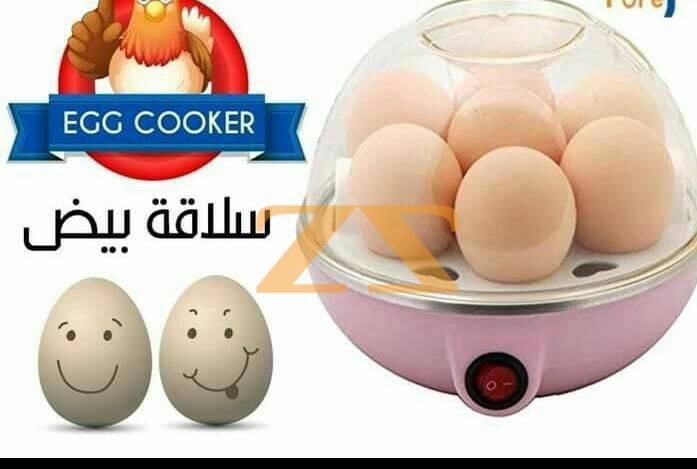 آلة طهي البيض