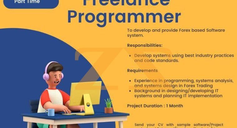 freelance programmer in UAE