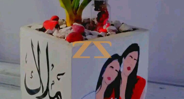 صباريات زينة