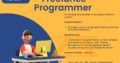 freelance programmer in UAE