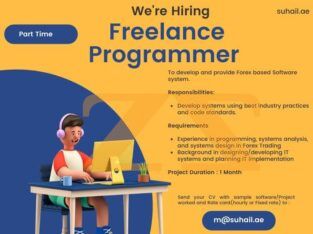 freelance programmer in UAE