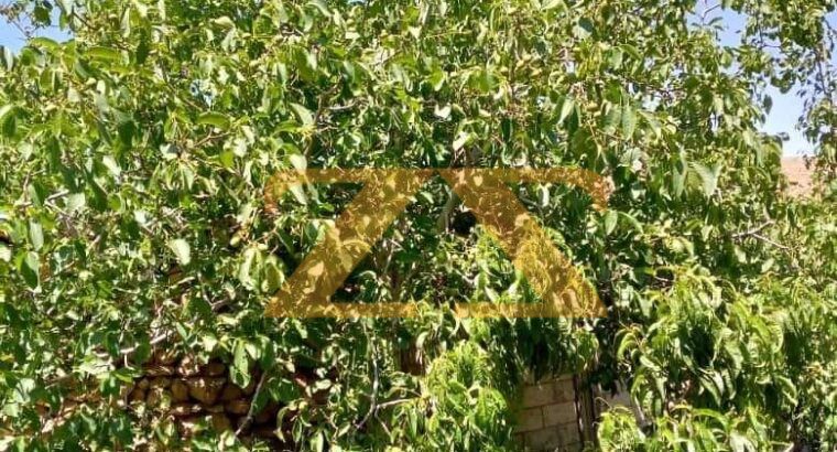 للبيع قطعة ارض في ريف دمشق – الزبداني
