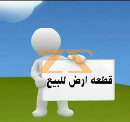 أرض للبيع في ريف دمشق عسال الورد