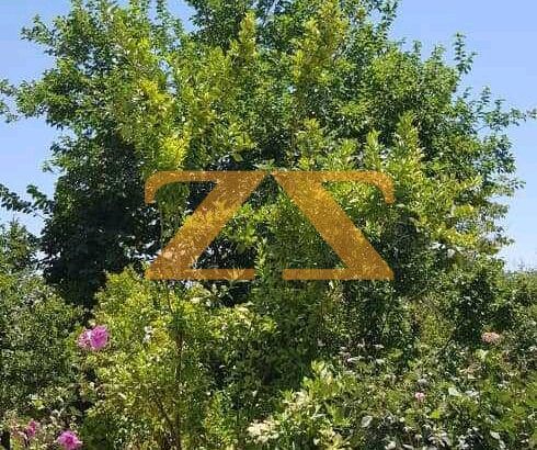 مزرعة للبيع على طريق المطار