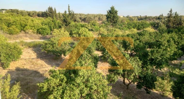 للبيع مزرعة مع طابقين في اللاذقية