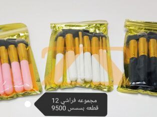 مجموعة فراشي دمج عدد 12